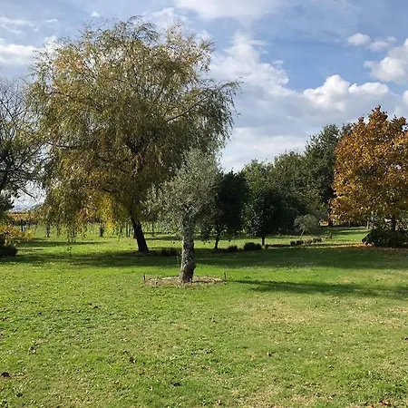 Maison Avec Piscine : Quinta Do Sol * Amarante