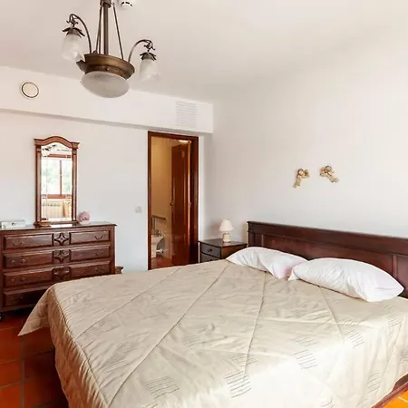 Vakantiehuis Maison Avec Piscine : Quinta Do Sol Amarante