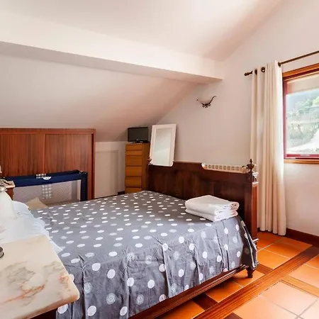 Hébergement de vacances Maison Avec Piscine : Quinta Do Sol Amarante