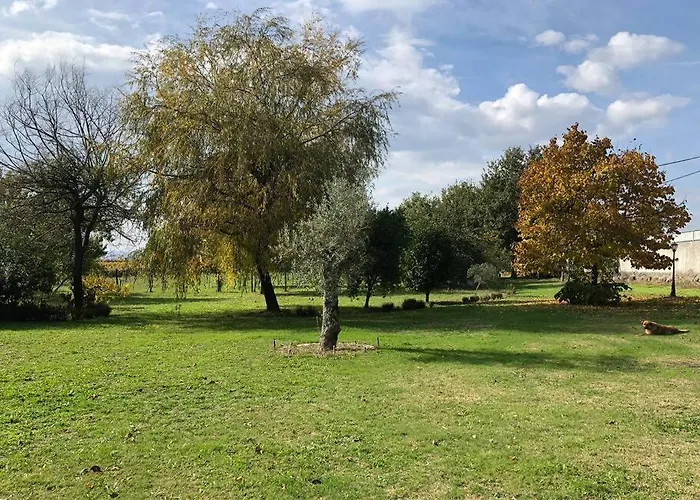 Maison Avec Piscine : Quinta Do Sol * Amarante