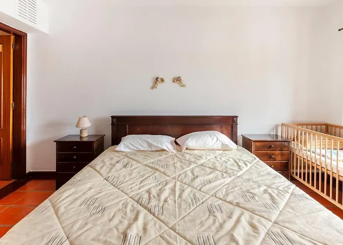 Maison Avec Piscine : Quinta Do Sol Amarante